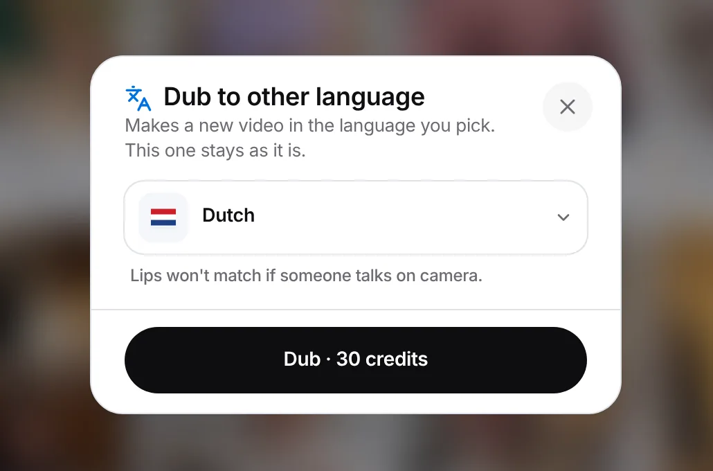 Dub to other language: Dutch picked, "Makes a new video in the language you pick. This one stays as it is." and a Dub button with the credit cost